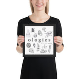 Framed Ologies Logo Artwork
