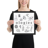 Framed Ologies Logo Artwork